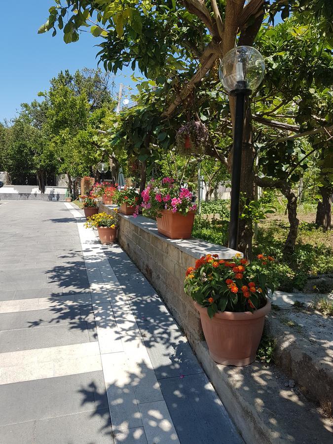 Casa Aristide Bed & Breakfast Sant'Agnello Luaran gambar